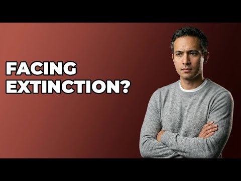 Is The Philippine Tarsier An Endangered Species?