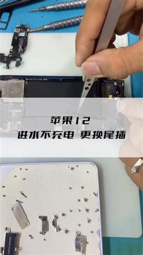 维修日常：苹果12不充电，更换尾插排线。客人的手机充电口进水无法充电，提示：检测到液体，无法充电，因为闪电接口检测到液体，请断开连接以晾干液体。更换尾插排线，搞定。#真实生活分享计划#手机维修案例分享 #手机维修#更换尾插排线#手机不充电