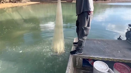 You still have to find them but the screen doesn't lie. 8x3/8 Wade net with a little bit of a lazy toss. #shadporn #shadhard | Shad Man