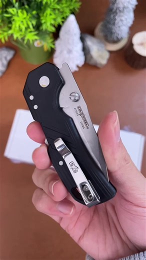 #knifecollector #knife #mysteryknifebox #tools