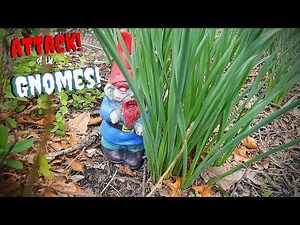 Attack of the Creepy Yard Gnomes!