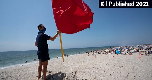 Sharks Are Spotted Off Long Island. Scientists Say Don’t Panic.