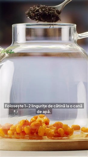 Ceaiul de CĂTINĂ poate fi consumat zilnic în sezonul rece | Secretele bunicii
