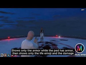 FiveM - Show damage - Display GTA variations