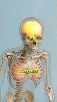 What Fails First When You Hold Your Breath?