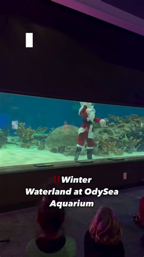 2.7K views · 21 reactions | Arizona’s Only Underwater Santa...