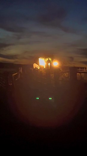 We had a great time last week taking our calves to Platte, SD and then helped Paul Kemnitz that evening. Took this video helping him get cattle fed after dark. So fun to go see his cattle and look at his up coming bulls on his sale December 7th. #realcattleman #kemnitzangus #angusbulls #fallwork #weaningcalves #pregchecking | Sherry Ann Andrews