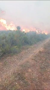 114K views · 399 reactions | 헚헮헿헱헲헻 헥헼혂혁헲 헪헶헹헱헳헶헿헲 헨헽헱헮혁헲 ퟬퟮ:...