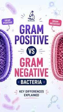 Gram Positive vs Gram Negative Bacteria 🦠 | Key Differences | Explained in 60 Seconds
