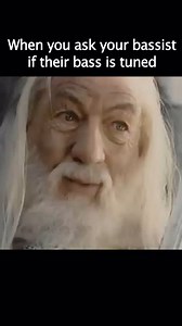 8K reactions · 1.7K shares | Everyone knows a bass player who is like this 慄 #meme #bassplayer #fyp #funny #musicmeme | Better Music | Facebook