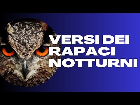 Verses of Nocturnal Birds of Prey