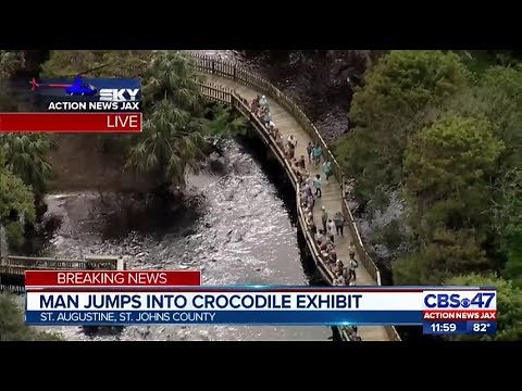 Man jumps into crocodile exhibit at Alligator Farm | Action News Jax
