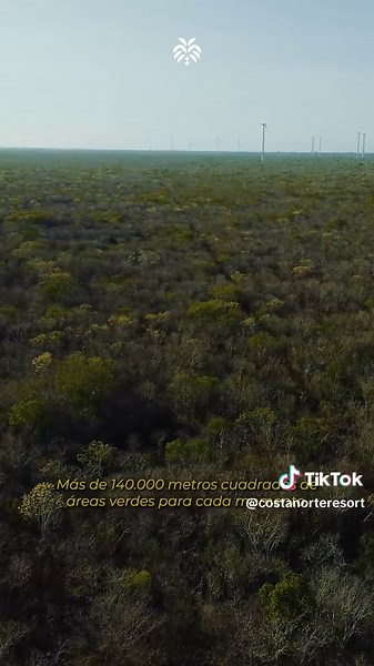 🍃 Hay un lugar donde el tiempo no corre… camina contigo. Donde la naturaleza te abraza y cada respiro se convierte en descanso. En Costa Norte Resort Residencial, vivir es volver a ti. 🌿 Más de 140,000 m² de áreas verdes 🧘 Zen Garden, muelles, senderos y ciclovías 🦜 Un aviario vivo y un parque de arte 🚣 Kayak, yoga, picnic y paz… todo en un mismo lugar. Aquí, el lujo no es ostentación. Es equilibrio. Es espacio. Es silencio. Es alma. #CostaNorte #VivirEnEquilibrio #BienesRaícesYucatán #Slow