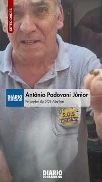 The Greater ABC region records 32 bee-related incidents per year.