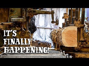 MY NEW WORKSHOP! Cutting the Beams - Serious Sawmill Action!