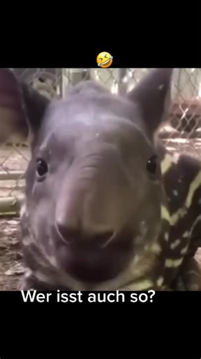 p.backhoff on TikTok