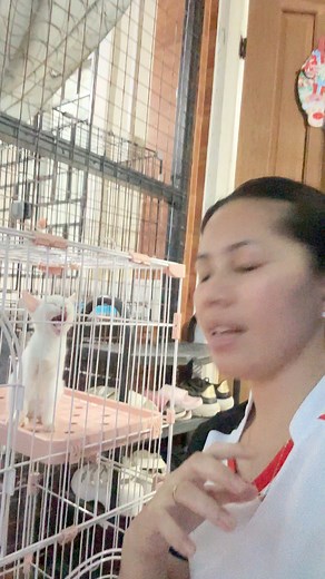 Sorry move ko tom morning sched pa vet, nakaligo na din sila.." | Moma Reny-Ann