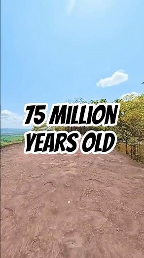 75 Million Year Old Whales in Thailand 🐋