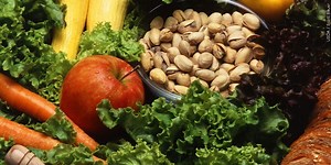 Sarasota County Extension conducts food waste study