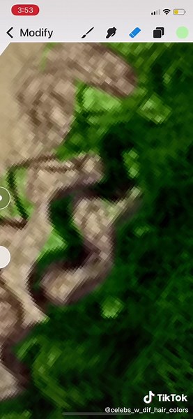 Pt.4 (last part) of giving Larray green hair @larrayeeee make sure to comment people u want me to do!