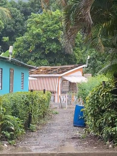 She say she not waiting on Melissa fi take off her roof | Jamaica IS Nice