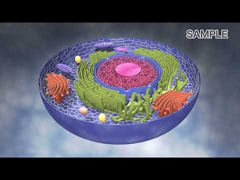 生体のしくみ 第3版 VOL.2 細胞からヒトへ（形質/遺伝）