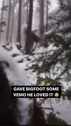 Video di Leo 96 (@_leonardo_1996) con Ma Baker - Boney M.