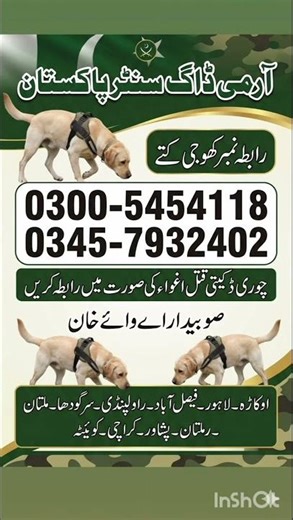 Army Dog Center Rawalpindi Islamabad Murree Abbottabad Attock ! Khoji kutte Contact Number