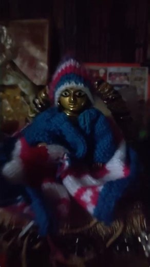 laddu gopal ji #shortvideo