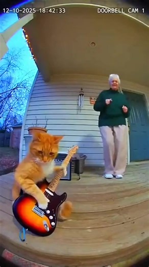 Keep track of your subscriptions — clearly and safely | Subpilot