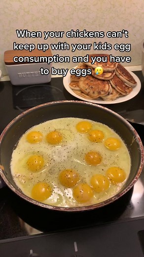 They can eat a dozen in one sitting 🥲🥹 #eggs #expensive