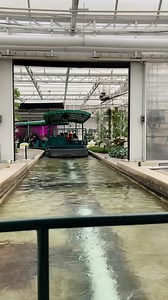 1.2K reactions · 136 shares | Living With The Land  3 minutes on EPCOT’s most relaxing ride! . . . #epcot #epcotcenter #wdw #waltdisneyworld #disneyworld #disney #livingwiththeland #theland #epcottheland #disneytrip #disneytravel #disneyaddict #disneyadult #disneylife #disneylove #disneyinfluencer #disneyreels #disneyig #disneyinsta #disneyinstagram #disneygram #disinsta #themeparklife | Theme ParkLife | Facebook