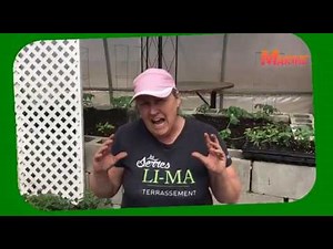 Comment jardiner sur votre balcon - capsule horticole no 7 Marthe Laverdière