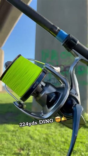 I Caught MASSIVE Carp Using This ONE Simple Technique