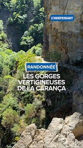 Direction les gorges vertigineuses de la Carança 😍 C'est l'une des plus belles randonnées des Pyrénées-Orientales, on vous emmène découvrir les gorges de la Carança situées en plein cœur du Conflent. Qu'en pensez-vous ? #randonnée #pyrénéesorientales #gorge | L'Indépendant Narbonne