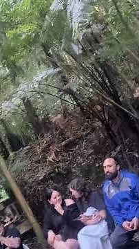 Maungatautari Sanctuary Mountain Welcomes Te Whaanau Haumanu 2025