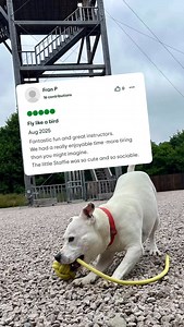 We love reading your reviews 🫶 Paid in biscuits and belly rubs 😍🐾 Fly like a bird Aug 2025 Fantastic fun and great instructors. We had a really enjoyable time -more tiring than you might imagine. The little Staffie was so cute and so sociable. #cairngormsnationalpark #aviemoreactivities #g2outdooradventurehub | G2 Adventure Hub