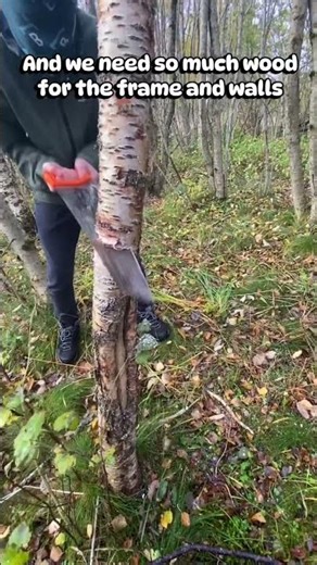 Day 1 of building a tree hut