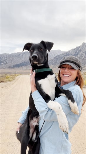 589K views · 32K reactions | One of them turned out to be hers all along  We talked to Kelsey about what it was like rescuing Nash, and how it inspired her to rescue SO many more dogs! Learn more about donating to The McDonough Rescue here: https://thedo.do/DonateMcDonough And keep up with Kelsey on Instagram: https://thedo.do/kelsmcdonough_ | The Dodo | Facebook