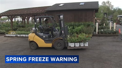 Cold snap prompts gardeners to protect plants ahead of freezing night