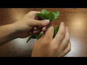 How to Strip a Pachysandra Plant