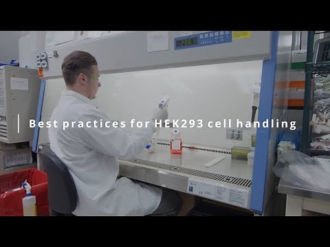 HEK 293 Cell Handling Best Practices Video