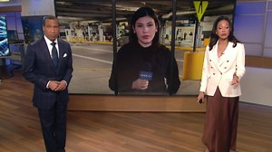 Passenger describes stepping in during chaotic flight incident involving unruly passenger in Houston