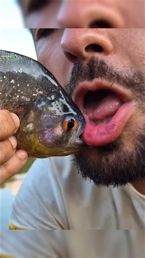 Bạn dám chơi không? Đoán đúng là bị cá cắn thật! #fish