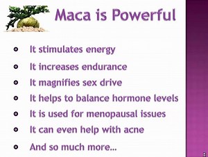 Risk of Maca Side Effects?