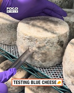 Testing our blue cheese 👌🧀 | FOODbible