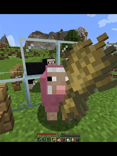 Ciąg dalszy nastąpi... 🙈🙉🙊 #minecraft #sagi #wojan #anarchiasmp #minecraftmemes