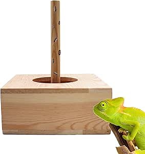 Bearded Dragon Feeding Bowl, Wooden Chameleon Bug Feeder, Reptile Feeder Box with Column for Insect to Climb, Cage Accessories for Lizard Gecko Toad Frog