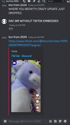 How to Embed TikTok Videos on Discord Successfully