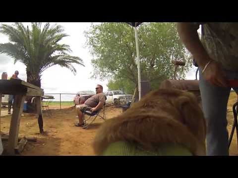 Dilley Texas Dove Hunt 2013